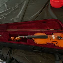 Little Viola