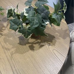 Artificial Plant