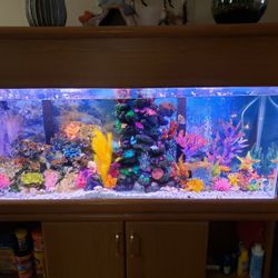 75gal Tank With Oak Stand And Hood