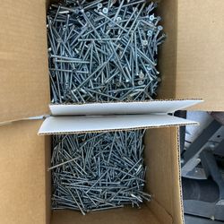 Zinc, Self Tapping Screws 