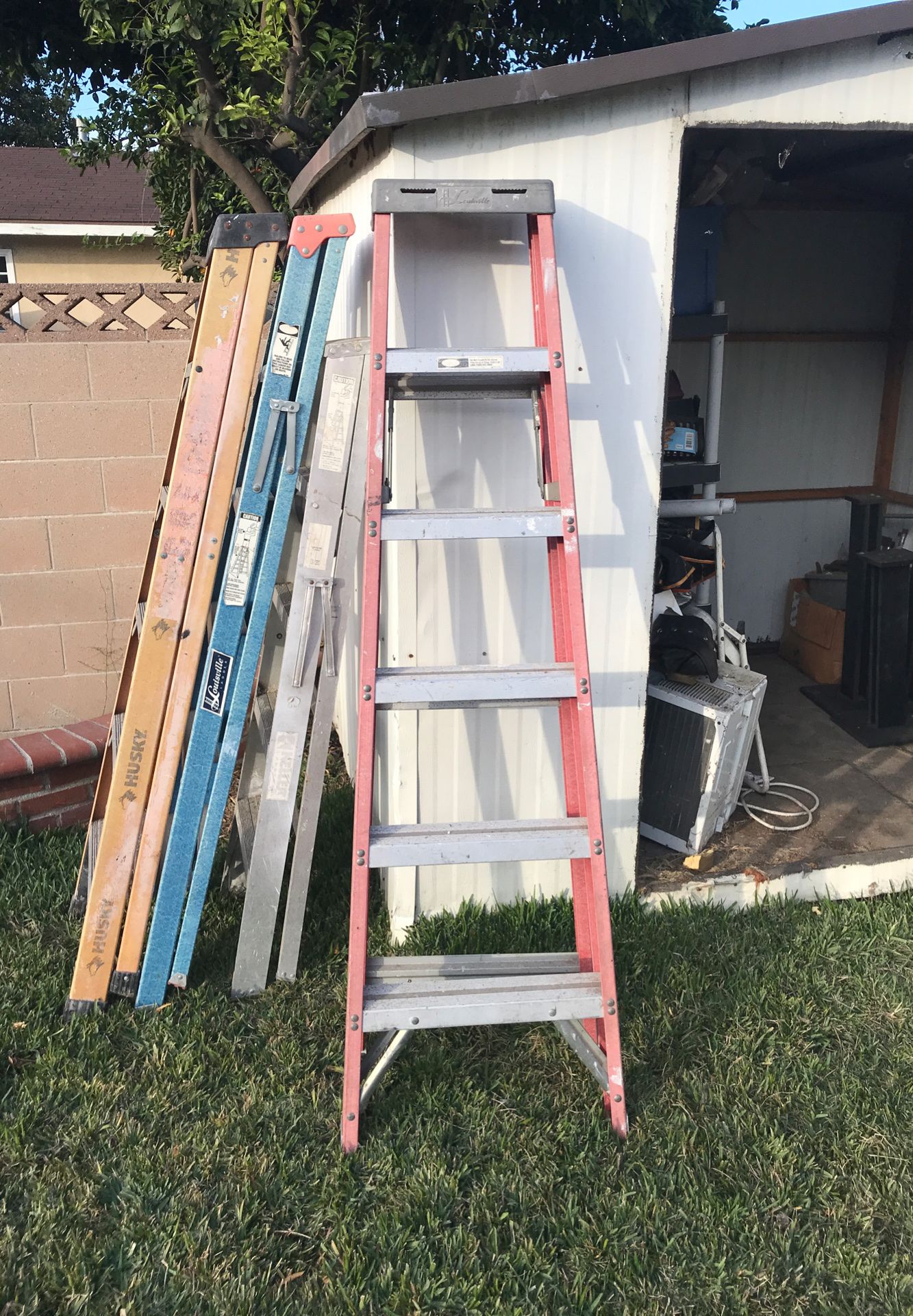 6 foot Ladder