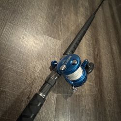 Avet SX Raptor 2 Speed/ Daiwa Proteus Boat 7’6” Med Fst Salt Water Fishing Combo. 