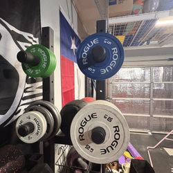 ROGUE 35LB Change Plate Set 