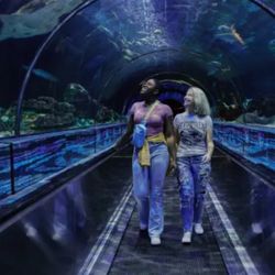 Seaworld Tickets/Boletos