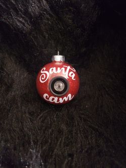 Santa cam