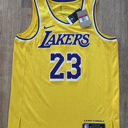 BRAND NEW LeBron James  Los Angeles Lakers Nike 2025/26Icon Edition Swingman Jersey #23 MEN