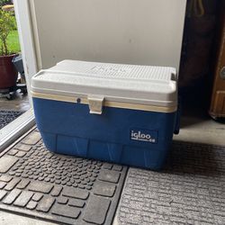 Igloo 48 Quart Cooler