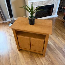 Wood Small Media Console / TV Stand with Storage Cabinet