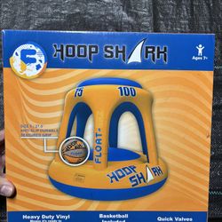 Swimming Pool Basketball Hoop