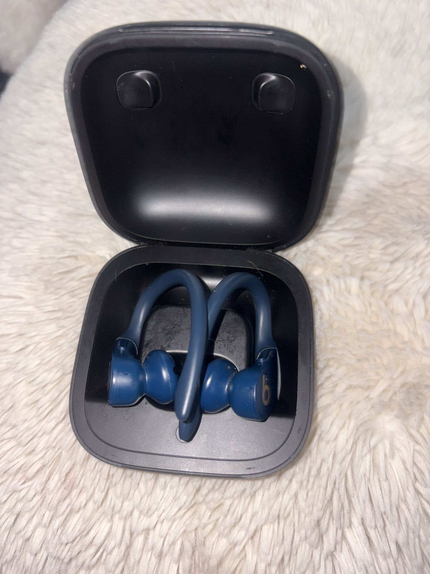 Apple Beats Powerbeats Pro