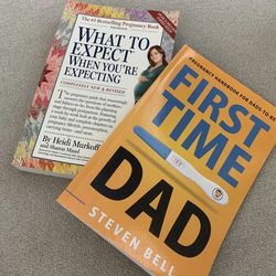 Pregnancy books