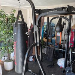 Punching bag / speed Bag Combo