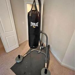 Punching bag and stand 