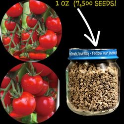 Cherry Tomato Seeds