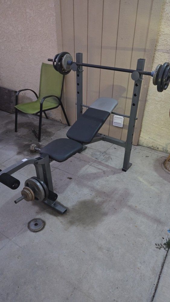 Bench and Leg Workout Machine