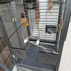 bird cage