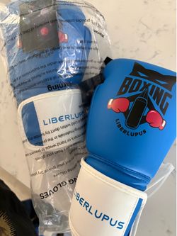 New Youth boxing gloves $10