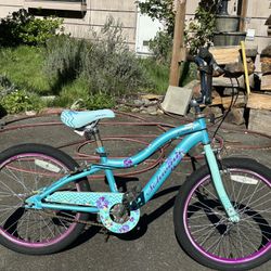 Girls 20 Inch Bicycle