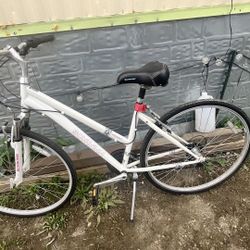Schwinn Mountain Bike