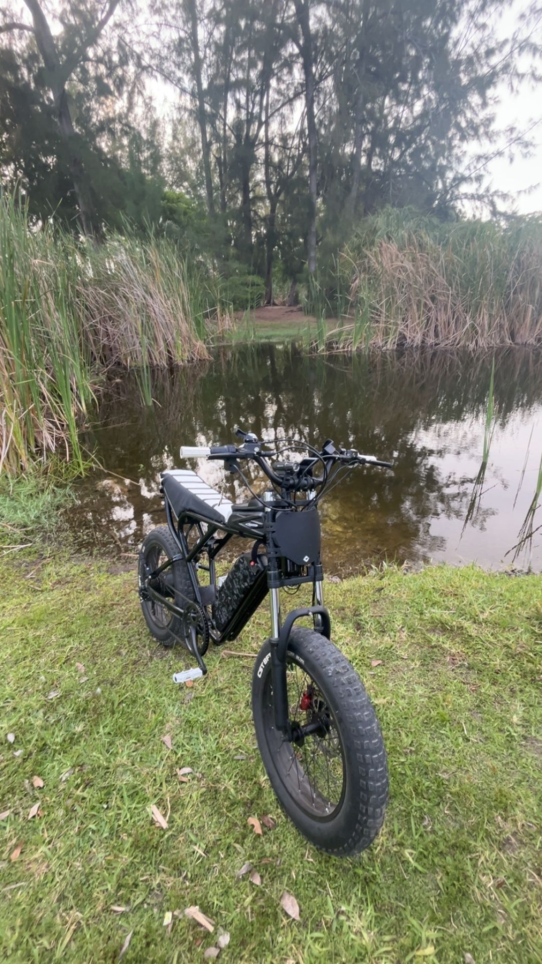 Modded Ridastar (TRADE OFFERS) HEAVILY MODDED RIDSTAR for Sale in Miami, FL - OfferUp