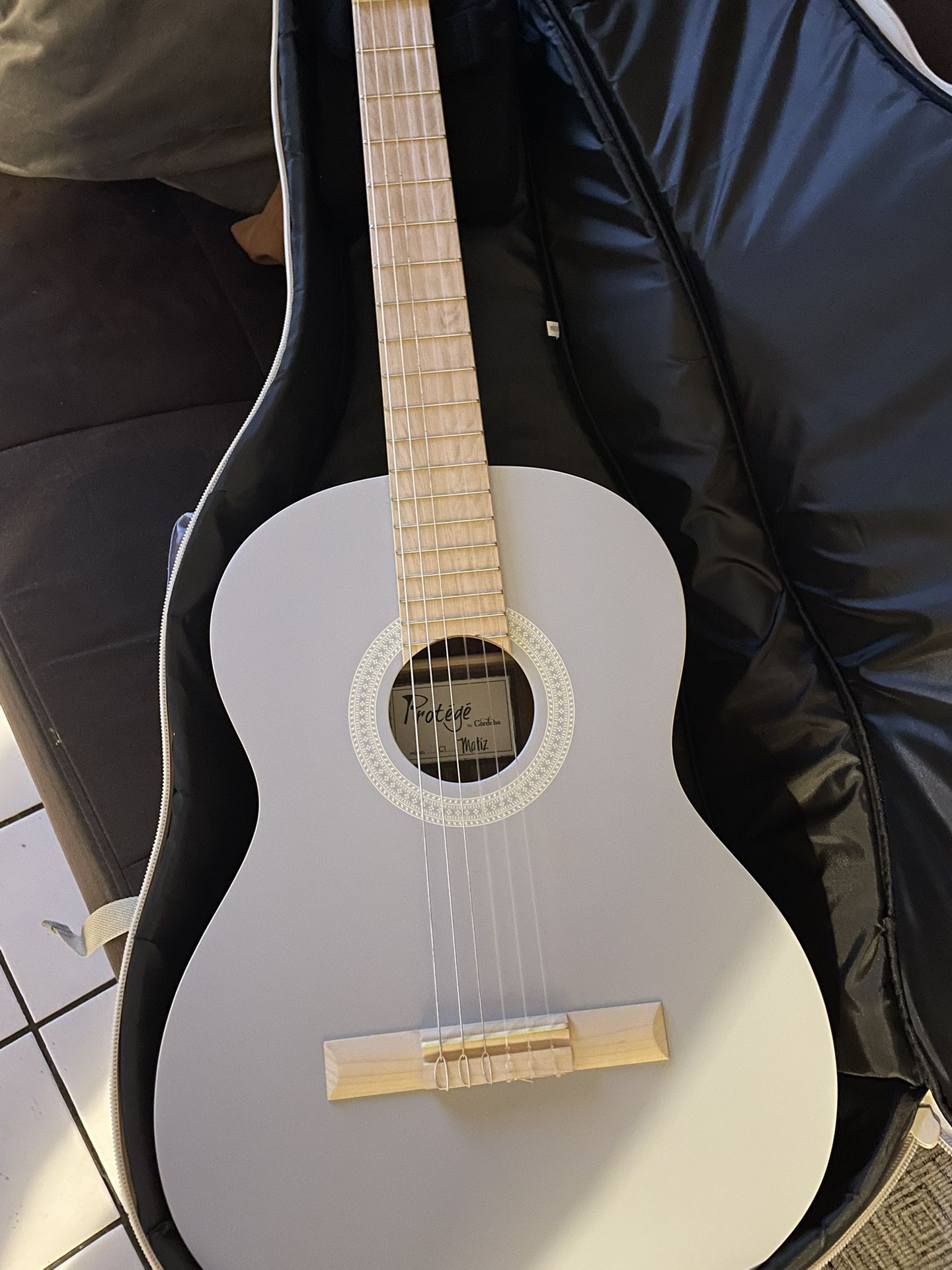 Six String Guitar With Case