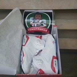 BRAND NEW AIR JORDAN 6 RETRO 