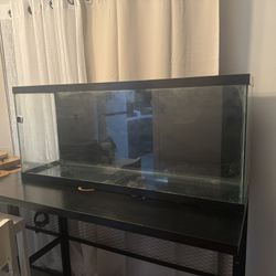 Aquarium/fishtank