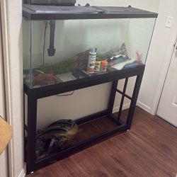 55 gallon fish tank with stand
