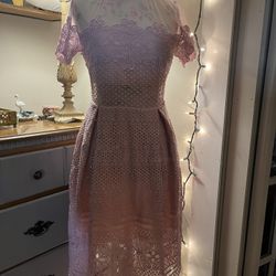 Few Moda Size Small Dress Dainty Pink Lace Net 