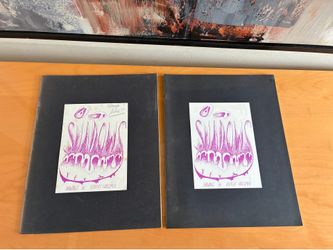 Robert Hassmer Out of Shadows #201 & #278 of 300 Artist Working Copy with Hand Written Revisions