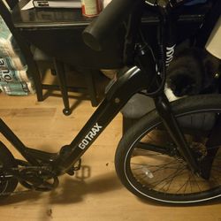 Go Trax Ebike