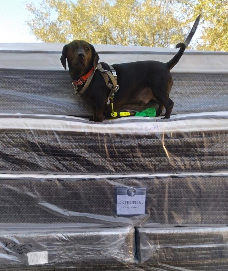 ❤️❤️❤️QUEEN SIZE ORTHOPEDIC FIRM MATTRESS SET CLEARANCE SALE ❤️❤️❤️