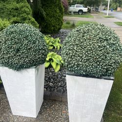 Bought one for $100 selling both for $60