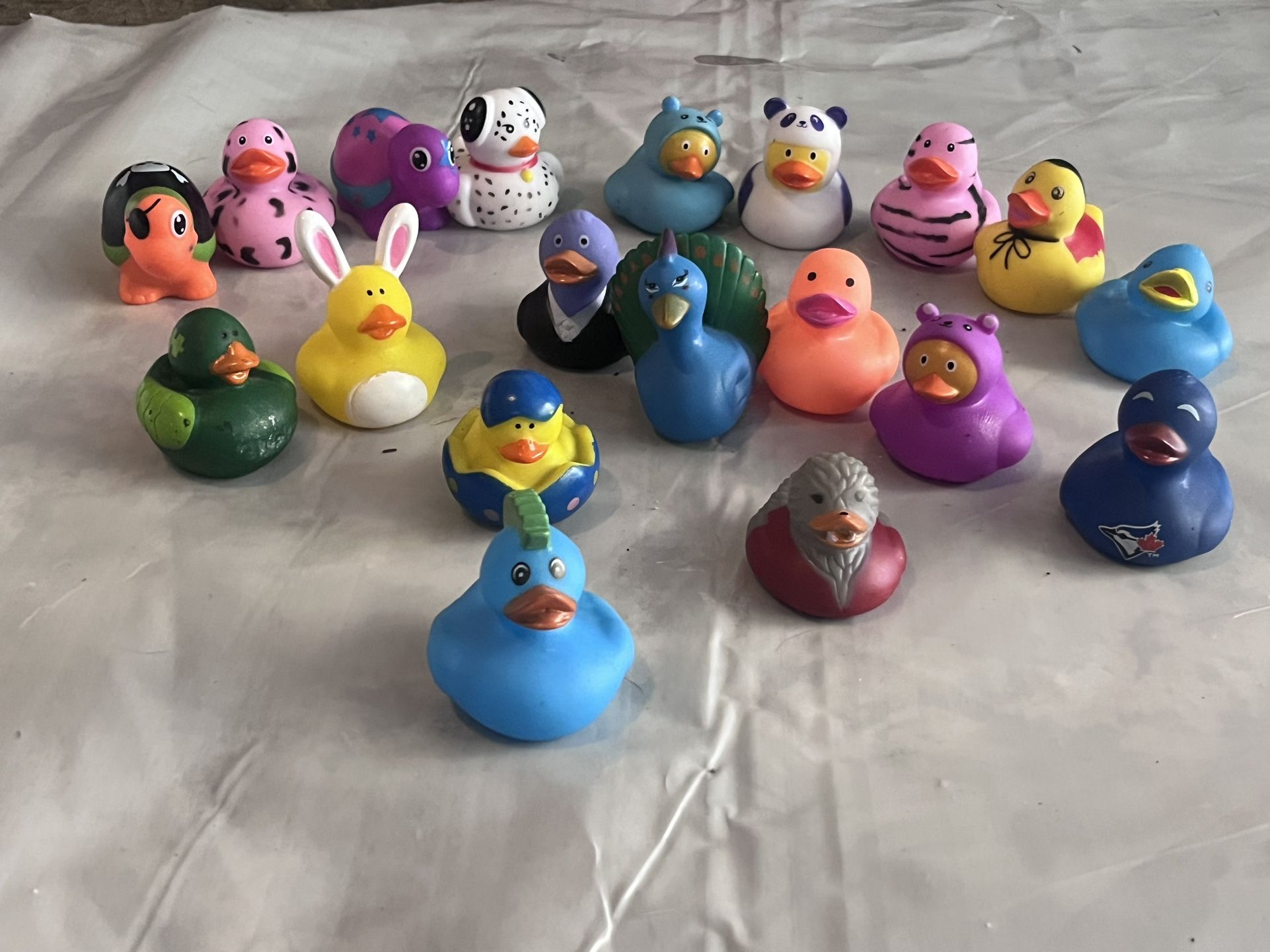 Mini Ducks
