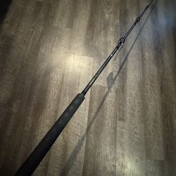 Shimano Teramar 8’ Med Hvy New Salt Water Fishing Rod 