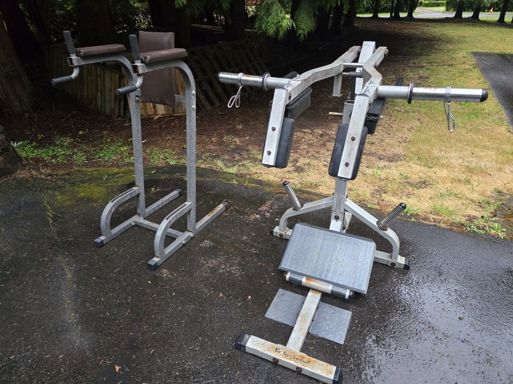 Leg Press & Parallel, Pushup Equipment