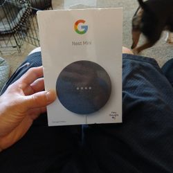 Mini Nest Google