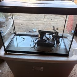 20 Gallon Glass Fish Tank With Filter
