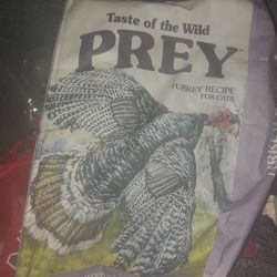 Cat food in 2 the wild and Purina