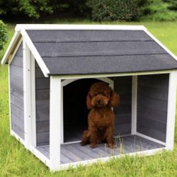 Dog House  New