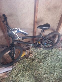 Freestyle bike