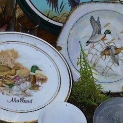 Duck Plates