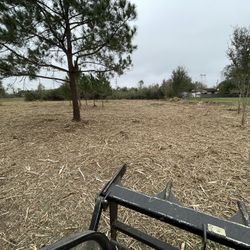 Hydro Axe Cat 299d3 Sale 