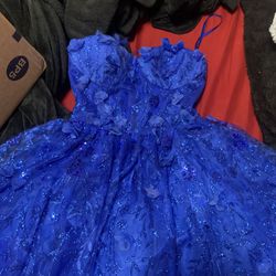 Royal Blue Mini Quince Dress 