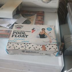 Pool Float