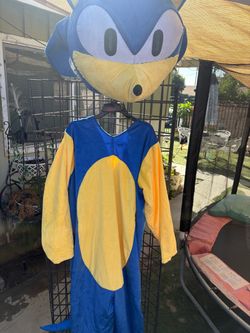 Sonic custom