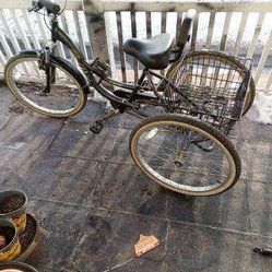 Northwoods 24in Rock Point Trike  Bike  Adult 