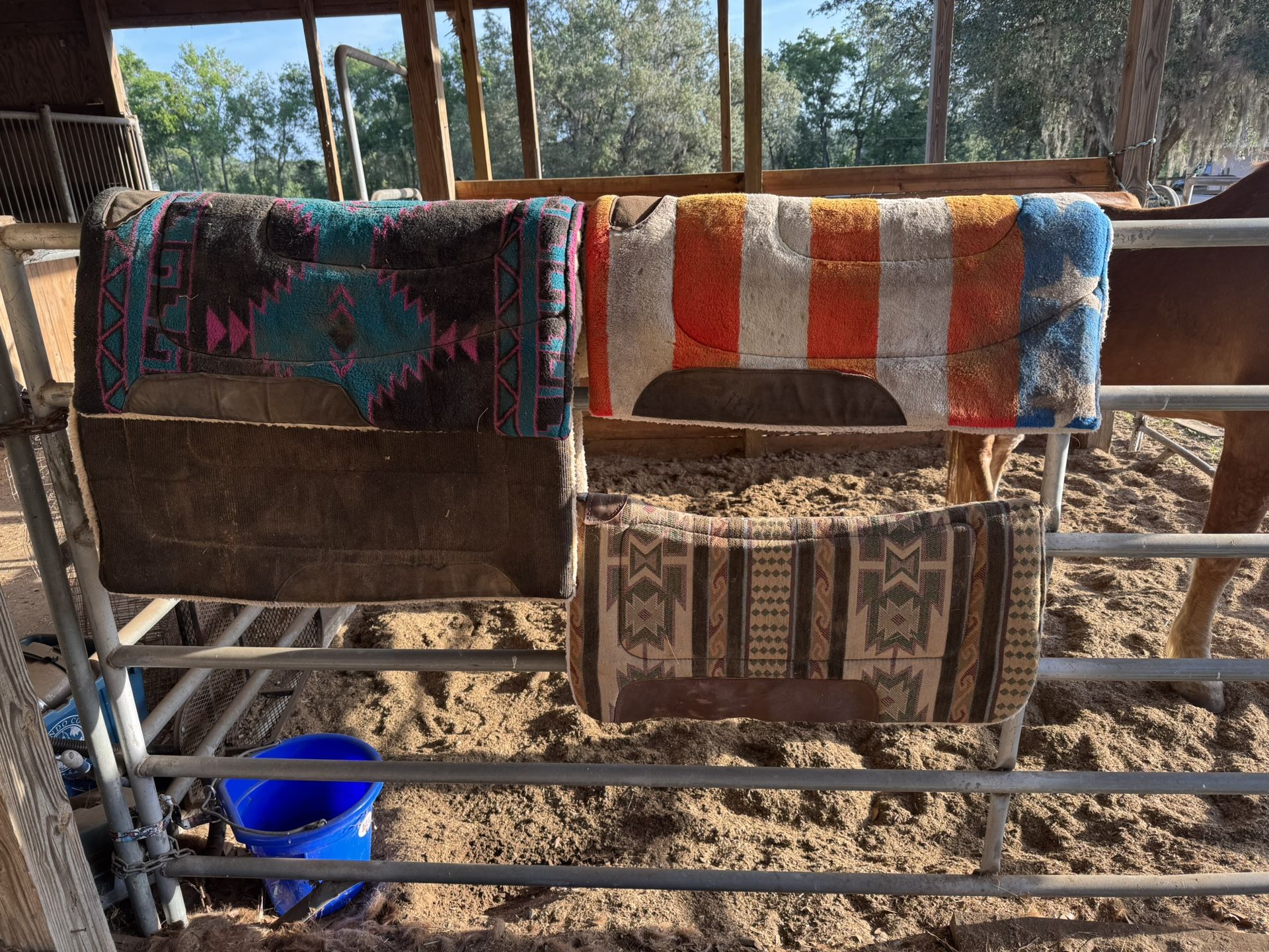 Saddle Pads