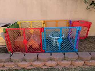 Outdoor Guinea Pig Habitat Setup with Hutch, Hay Storage Bin & Accessories