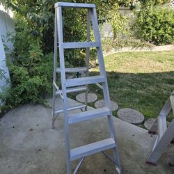 Warner 6 Feet Ladder